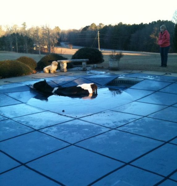 morning picdump 54 pics 3.html - 54 HD Photos | Premium Gallery 2014