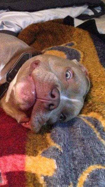 morning picdump 54 pics 3.html - 54 HD Photos | Premium Gallery 2014