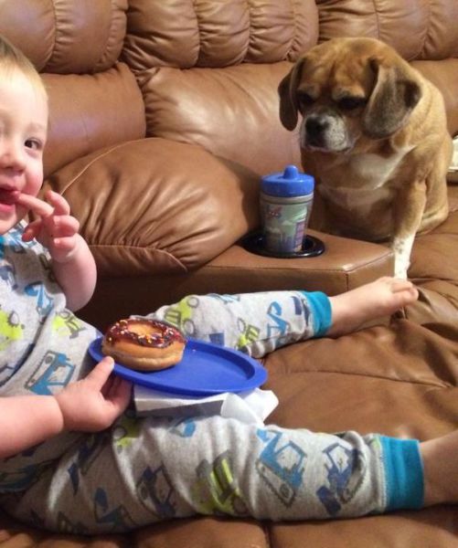 morning picdump 54 pics 3.html - 54 HD Photos | Premium Gallery 2014