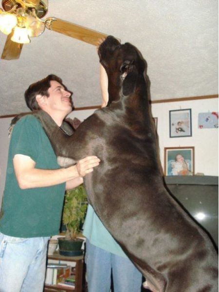 morning picdump 54 pics 3.html - 54 HD Photos | Premium Gallery 2014