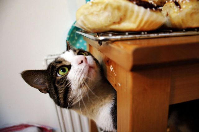 morning picdump 54 pics 3.html - 54 HD Photos | Premium Gallery 2014