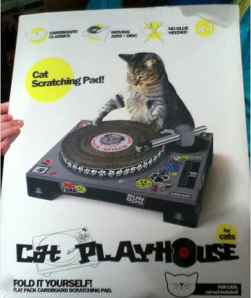 Weird Things That Are Absolutely Real!