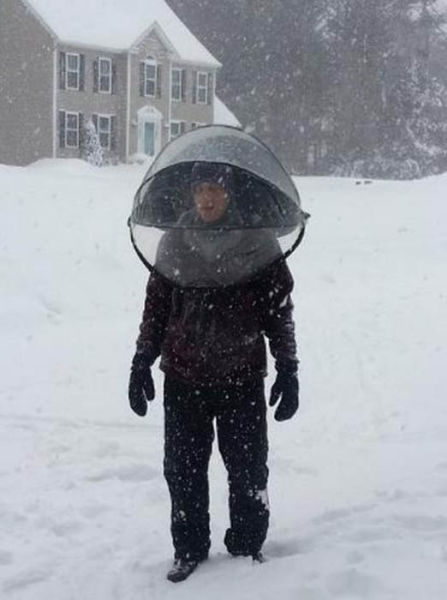 Weird Things That Are Absolutely Real!