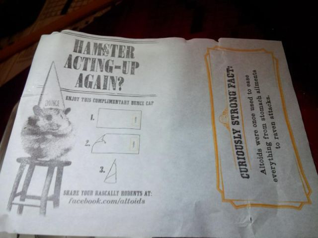 Weird Things That Are Absolutely Real!