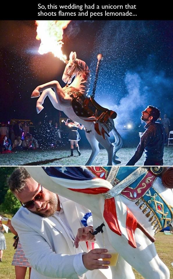 Weird Things That Are Absolutely Real!