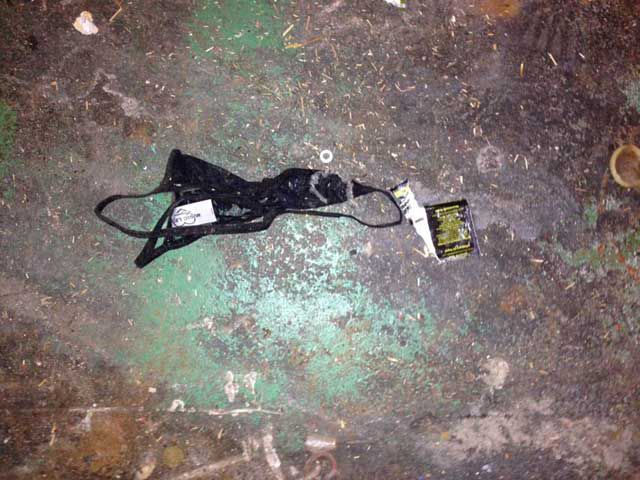 This Neglected Adult Theatre Is Simply Revolting