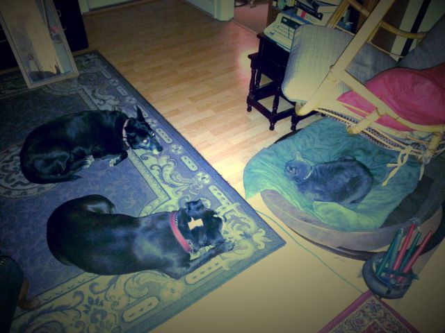 morning picdump 53 pics 22.html - 53 HD Photos | Premium Gallery 2014