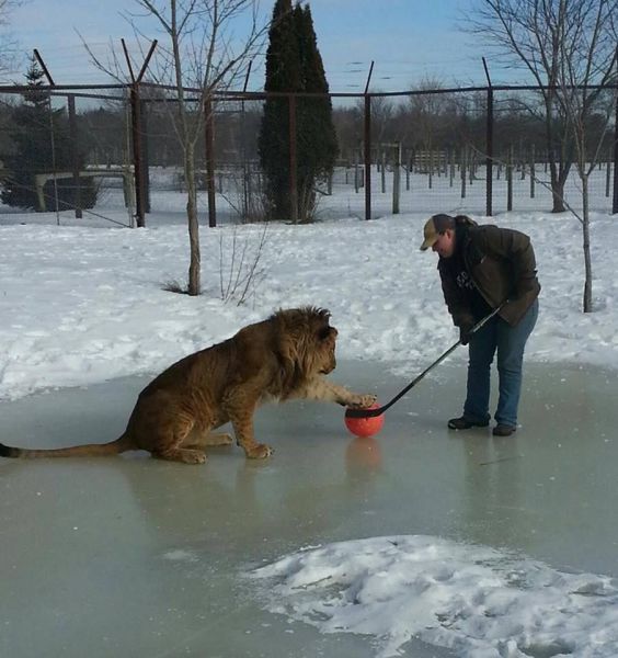 morning picdump 53 pics 22.html - 53 HD Photos | Premium Gallery 2014