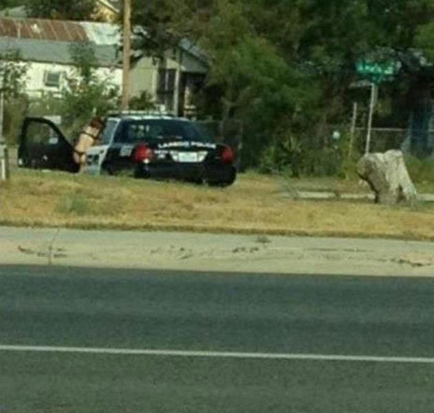 grownup corner 47 pics 6 gifs 3 videos 29.html - 47 HD Video | Premium Gallery 2014