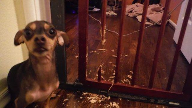 morning picdump 56 pics 12.html - 56 HD Photos | Premium Gallery 2014