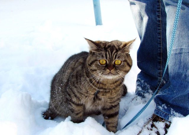 morning picdump 56 pics 12.html - 56 HD Photos | Premium Gallery 2014