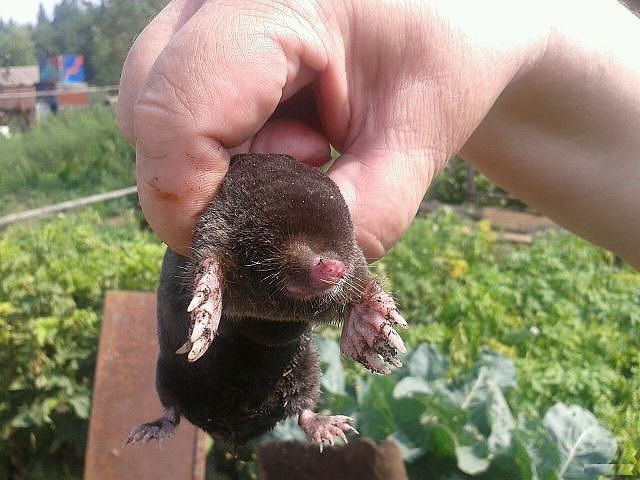 morning picdump 56 pics 12.html - 56 HD Photos | Premium Gallery 2014