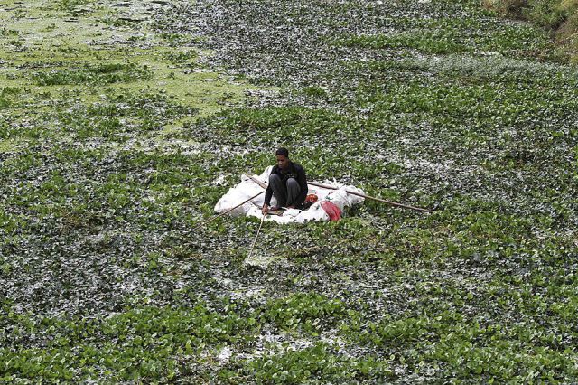 morning picdump 54 pics 9.html - 54 HD Photos | Premium Gallery 2014