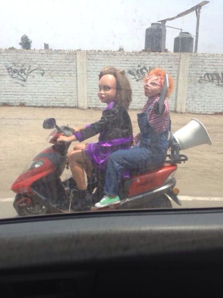 morning picdump 54 pics 9.html - 54 HD Photos | Premium Gallery 2014