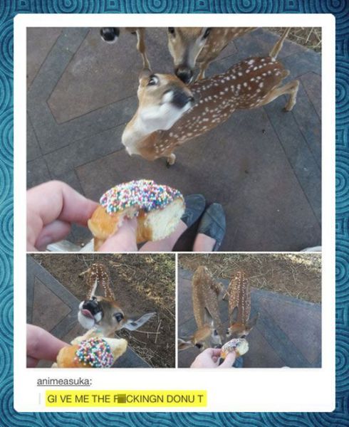 morning picdump 54 pics 9.html - 54 HD Photos | Premium Gallery 2014