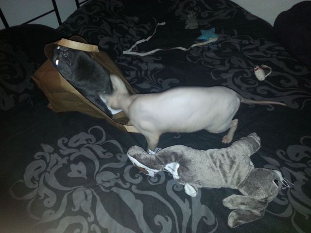 morning picdump 54 pics 27.html - 54 HD Photos | Premium Gallery 2014