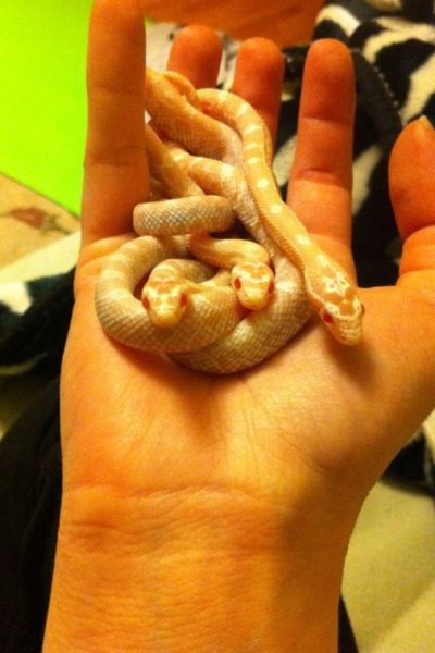 morning picdump 54 pics 27.html - 54 HD Photos | Premium Gallery 2014