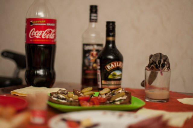 morning picdump 57 pics 8.html - 57 HD Photos | Premium Gallery 2014