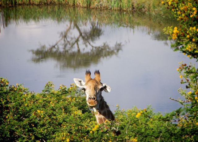 morning picdump 57 pics 8.html - 57 HD Photos | Premium Gallery 2014