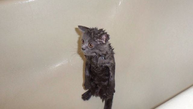 morning picdump 57 pics 8.html - 57 HD Photos | Premium Gallery 2014