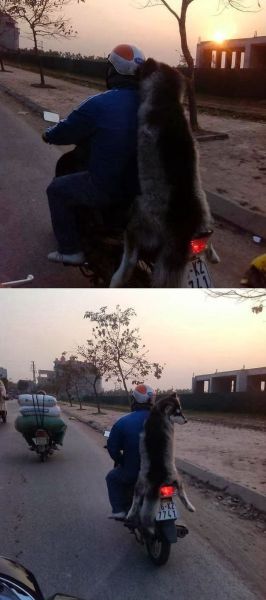 page,7,top 500 morning pics of the year 2014.html - 1 HD Photos | Premium Gallery 2014