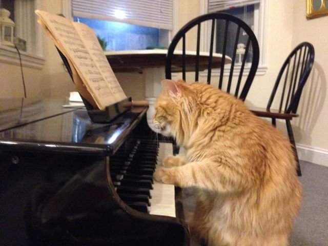 morning picdump 57 pics 8.html - 57 HD Photos | Premium Gallery 2014