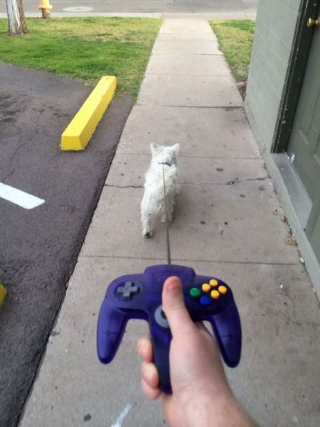 morning picdump 57 pics 8.html - 57 HD Photos | Premium Gallery 2014