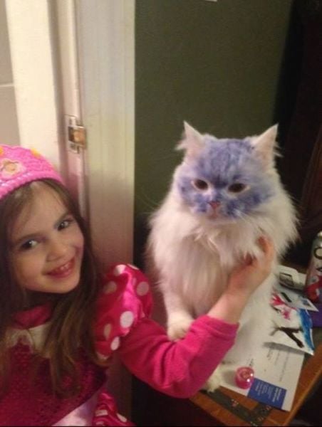 morning picdump 57 pics 8.html - 57 HD Photos | Premium Gallery 2014