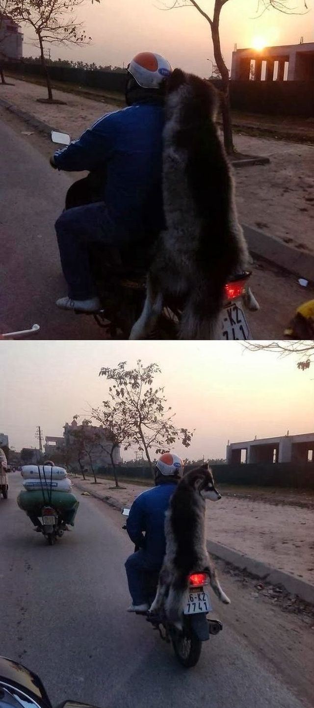 morning picdump 57 pics 8.html - 57 HD Photos | Premium Gallery 2014