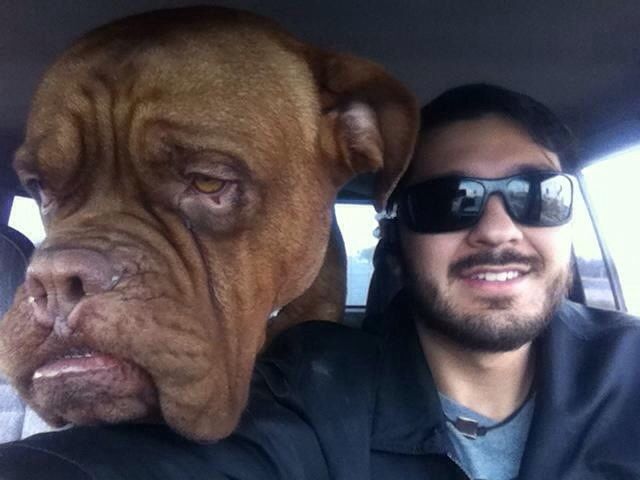 daily picdump 98 pics 8.html - 98 HD Photos | Premium Gallery 2014