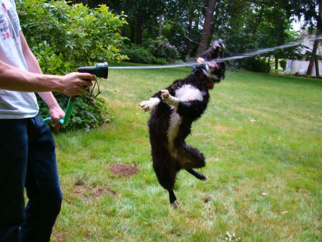 daily picdump 98 pics 8.html - 98 HD Photos | Premium Gallery 2014