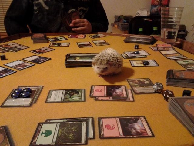 daily picdump 98 pics 8.html - 98 HD Photos | Premium Gallery 2014