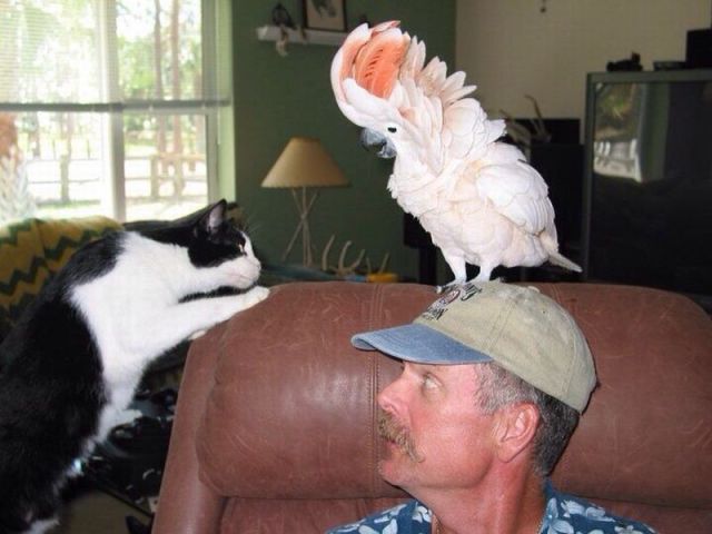 daily picdump 98 pics 8.html - 98 HD Photos | Premium Gallery 2014