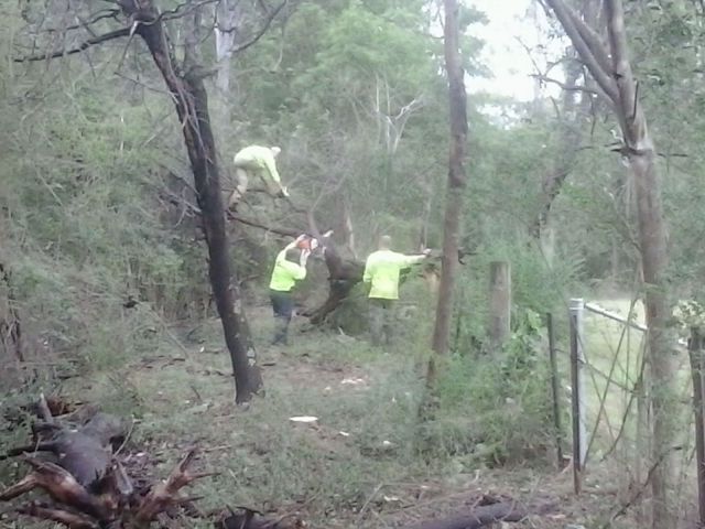 daily picdump 98 pics 8.html - 98 HD Photos | Premium Gallery 2014