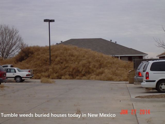 daily picdump 98 pics 8.html - 98 HD Photos | Premium Gallery 2014