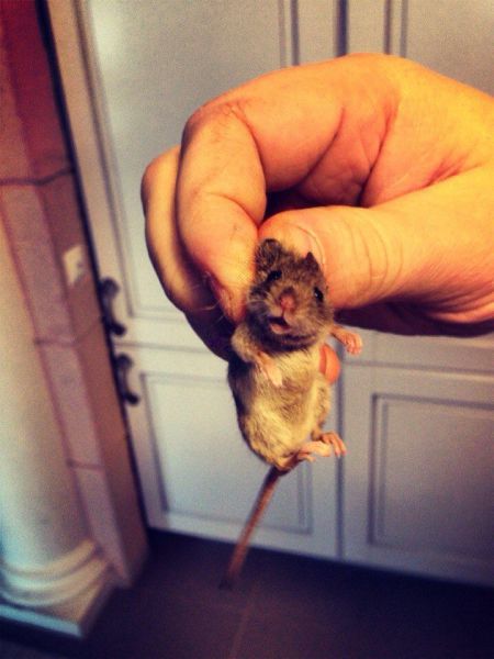 morning picdump 52 pics 6.html - 52 HD Photos | Premium Gallery 2014