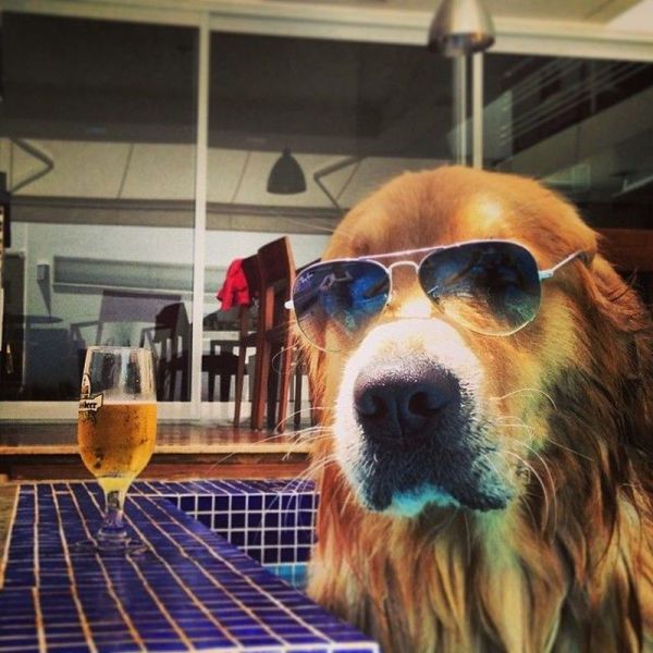 morning picdump 52 pics 6.html - 52 HD Photos | Premium Gallery 2014