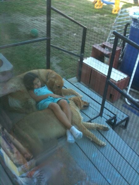 top 500 morning pics of the year 2014.html - 1 HD Photos | Premium Gallery 2014