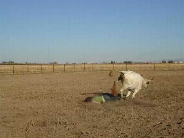 Yes It’s Crazy But It Really Happened!