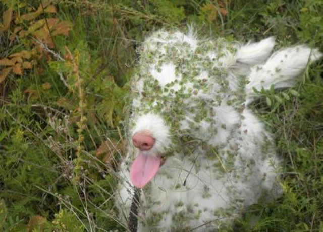 Yes It’s Crazy But It Really Happened!