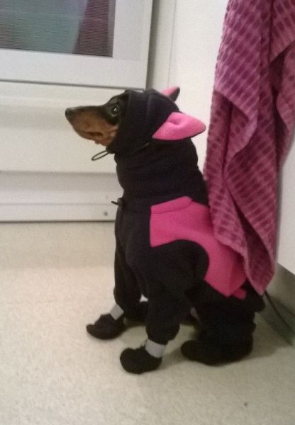 morning picdump 54 pics 9.html - 54 HD Photos | Premium Gallery 2014