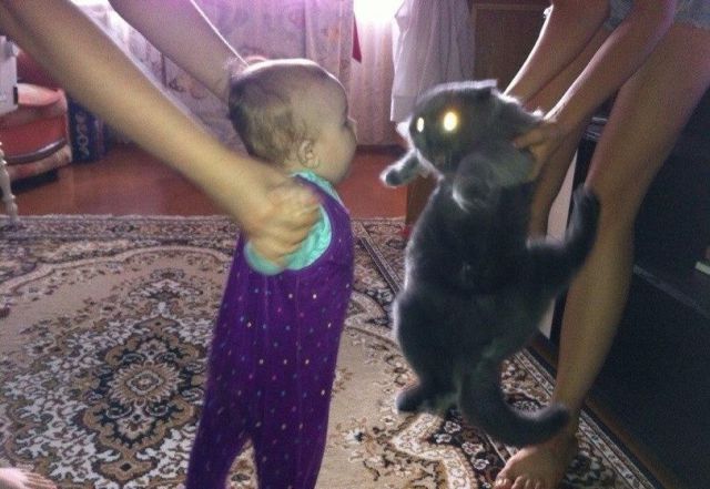 morning picdump 54 pics 9.html - 54 HD Photos | Premium Gallery 2014