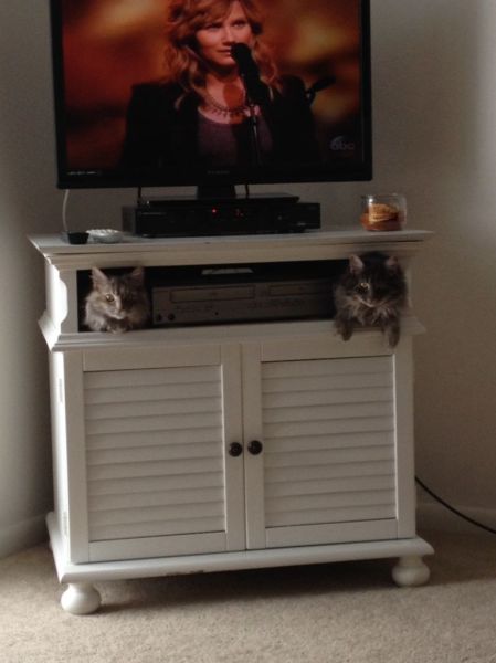 morning picdump 54 pics 9.html - 54 HD Photos | Premium Gallery 2014