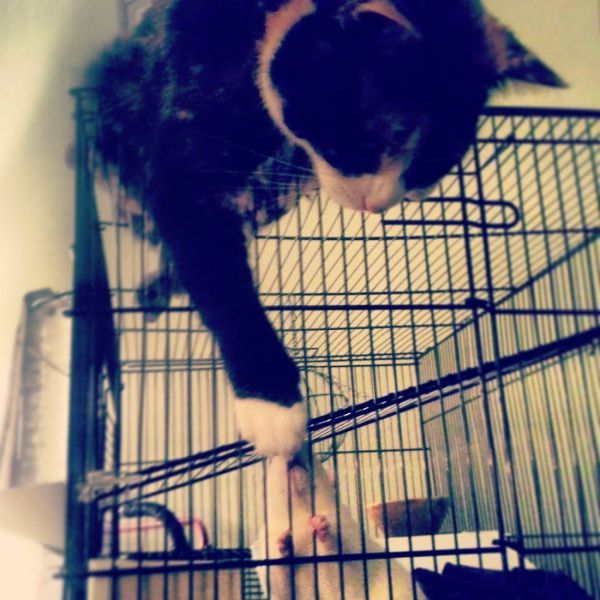 morning picdump 54 pics 9.html - 54 HD Photos | Premium Gallery 2014