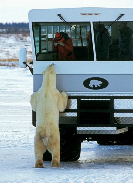 morning picdump 54 pics 9.html - 54 HD Photos | Premium Gallery 2014