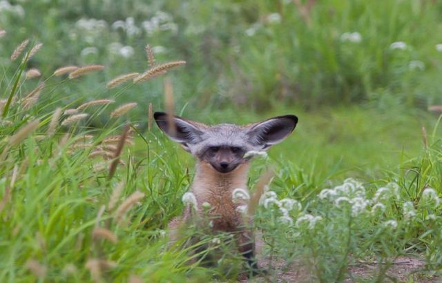 morning picdump 54 pics 9.html - 54 HD Photos | Premium Gallery 2014