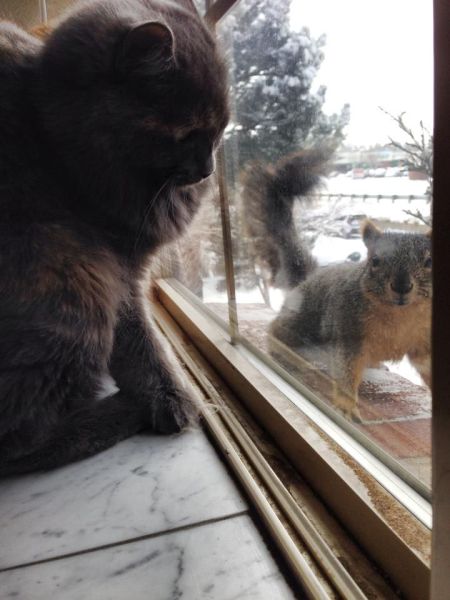 morning picdump 54 pics 9.html - 54 HD Photos | Premium Gallery 2014