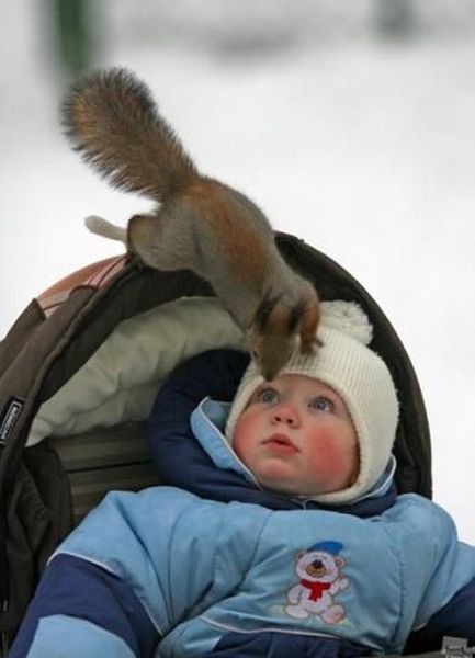 morning picdump 54 pics 9.html - 54 HD Photos | Premium Gallery 2014