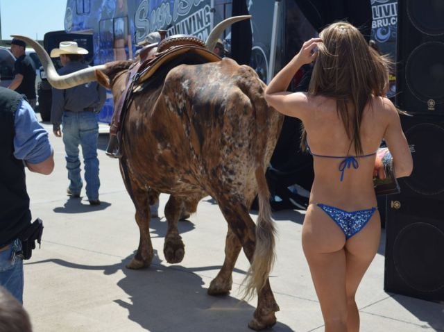 grownup corner 45 pics 12 gifs 16.html - 45 HD GIF | Premium Gallery 2014