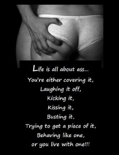 grownup corner 45 pics 12 gifs 16.html - 45 HD GIF | Premium Gallery 2014